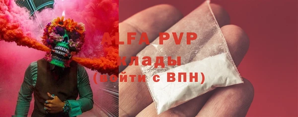 гашик Вязьма