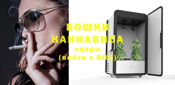 эйфоретик Вяземский