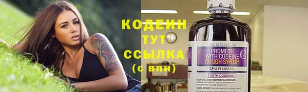 гашик Вязьма