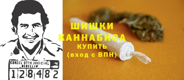 эйфоретик Вяземский