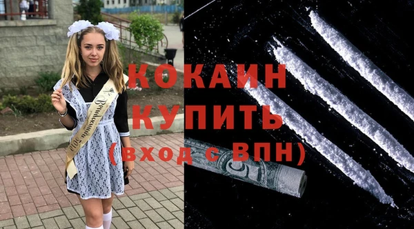 эйфоретик Вяземский