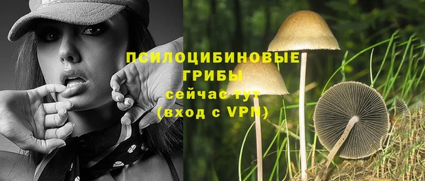гашик Вязьма