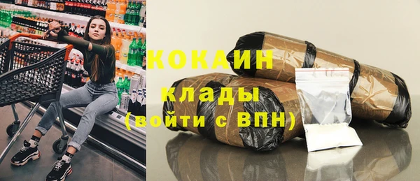 гашик Вязьма