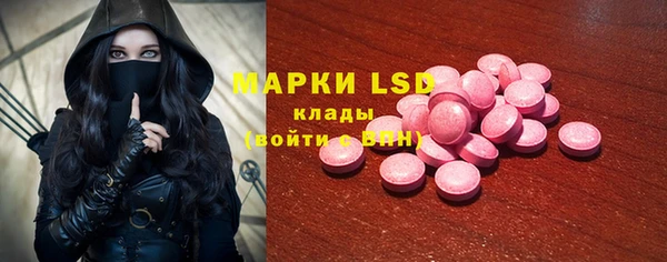 эйфоретик Вяземский