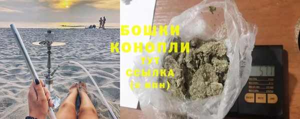 шишки Вязники