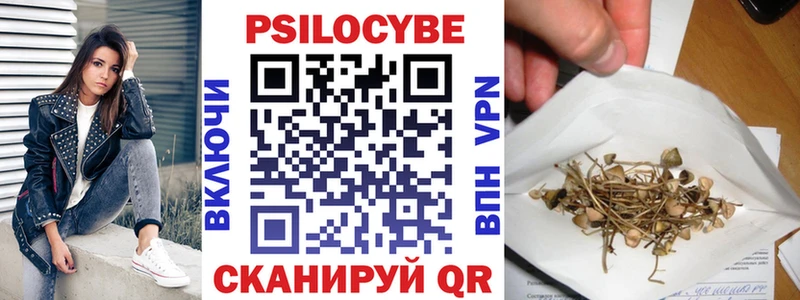 Псилоцибиновые грибы мицелий  Чита 